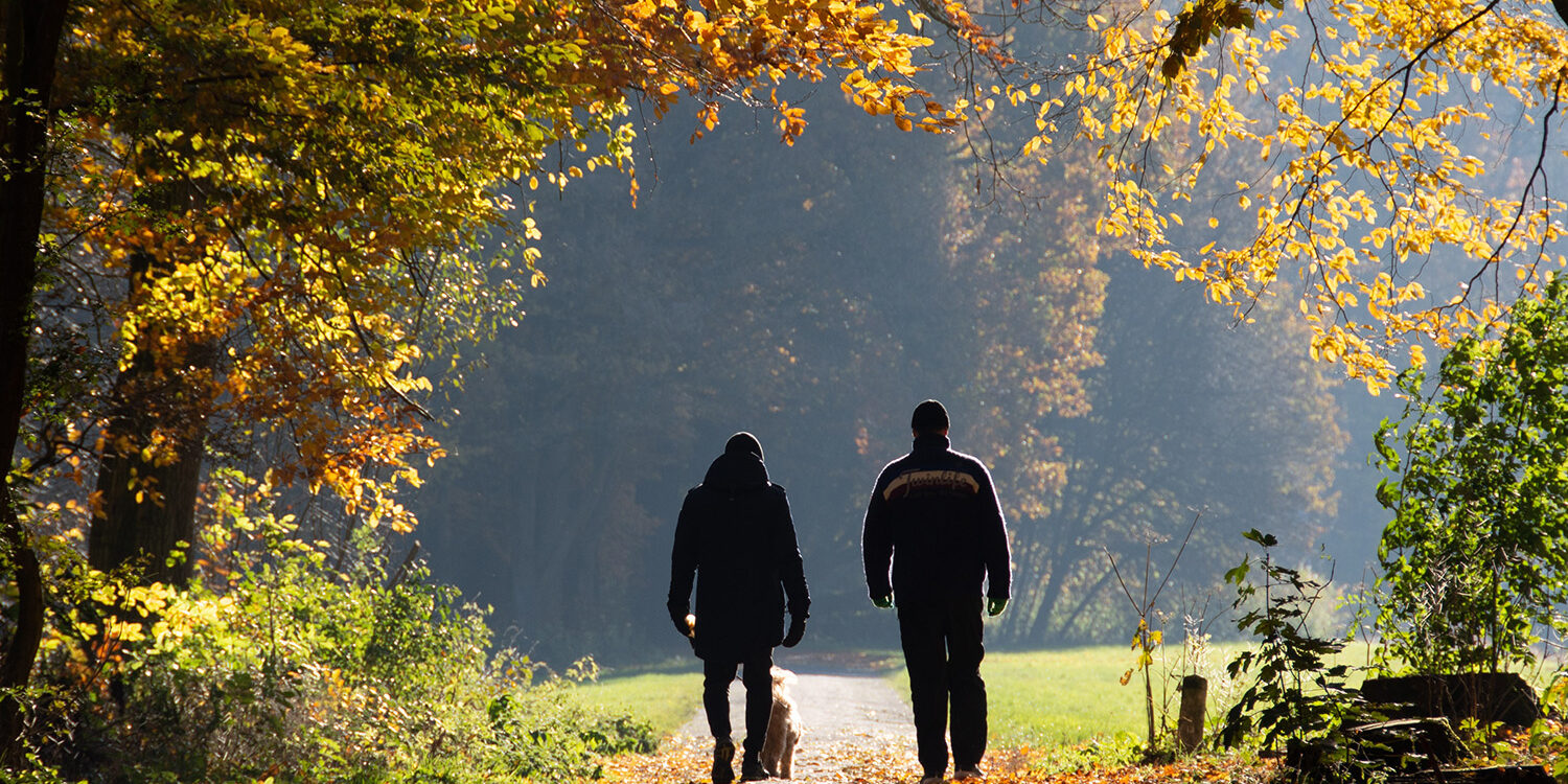 Accompagnement en nature